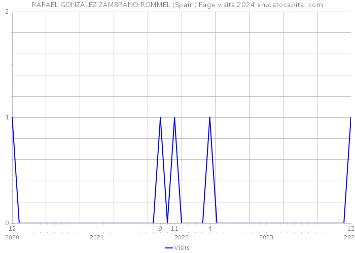 RAFAEL GONZALEZ ZAMBRANO ROMMEL (Spain) Page visits 2024 