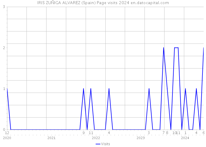 IRIS ZUÑIGA ALVAREZ (Spain) Page visits 2024 