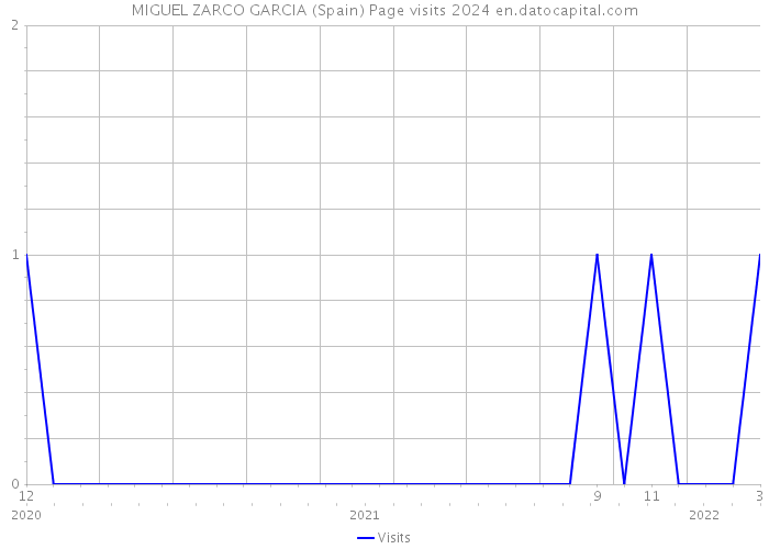 MIGUEL ZARCO GARCIA (Spain) Page visits 2024 