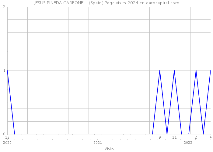 JESUS PINEDA CARBONELL (Spain) Page visits 2024 