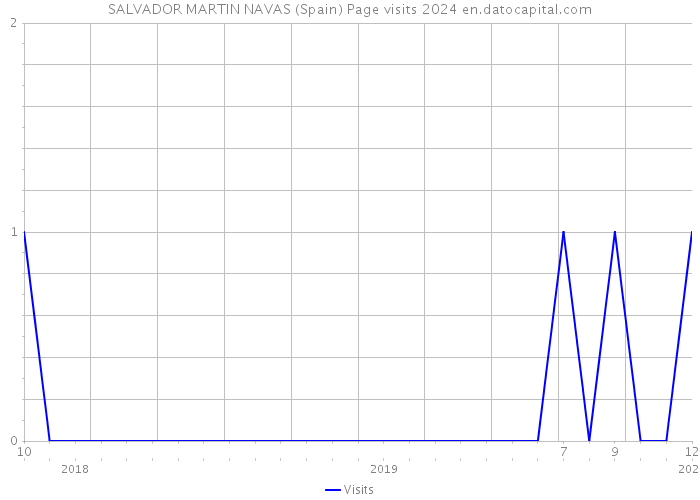 SALVADOR MARTIN NAVAS (Spain) Page visits 2024 