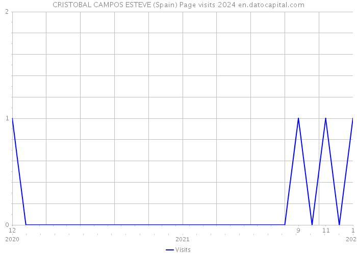 CRISTOBAL CAMPOS ESTEVE (Spain) Page visits 2024 