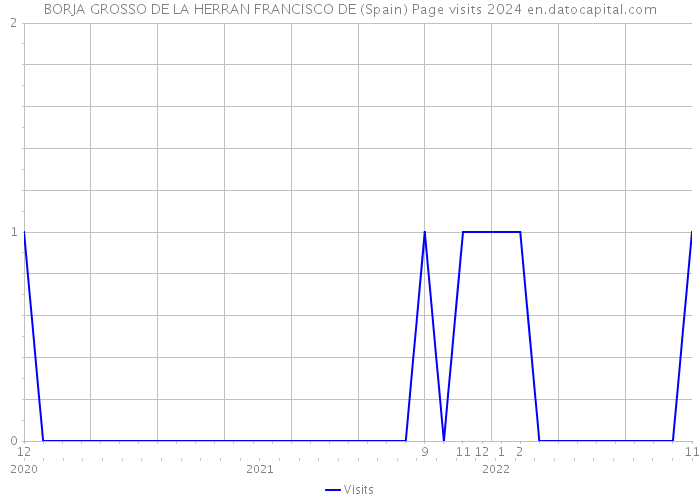 BORJA GROSSO DE LA HERRAN FRANCISCO DE (Spain) Page visits 2024 