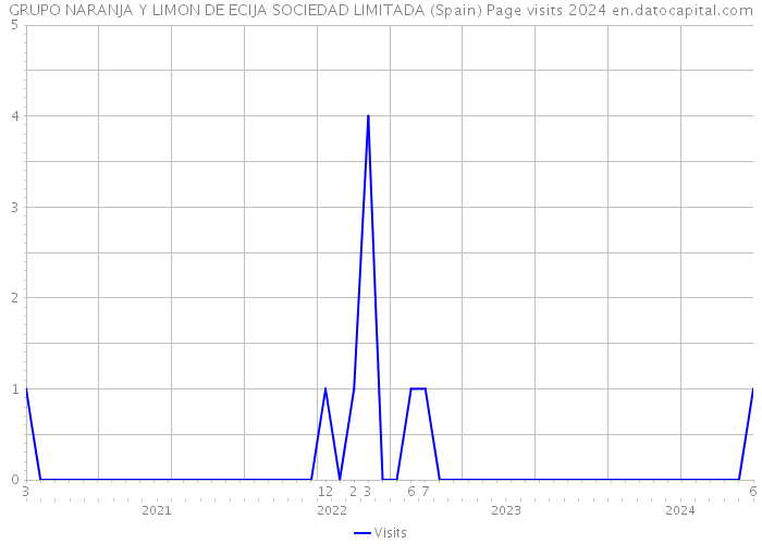 GRUPO NARANJA Y LIMON DE ECIJA SOCIEDAD LIMITADA (Spain) Page visits 2024 