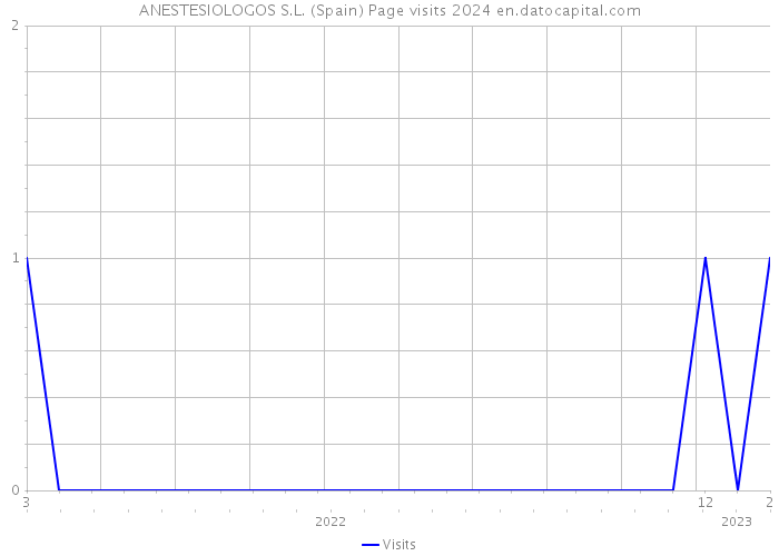 ANESTESIOLOGOS S.L. (Spain) Page visits 2024 
