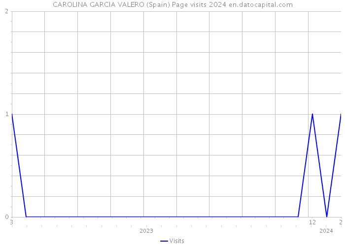 CAROLINA GARCIA VALERO (Spain) Page visits 2024 