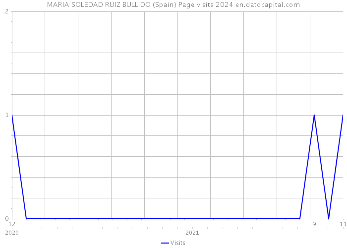 MARIA SOLEDAD RUIZ BULLIDO (Spain) Page visits 2024 