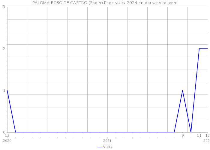PALOMA BOBO DE CASTRO (Spain) Page visits 2024 