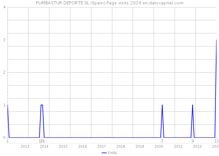 PUMBASTUR DEPORTE SL (Spain) Page visits 2024 