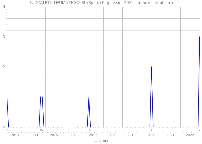 BURGALETA NEUMATICOS SL (Spain) Page visits 2024 