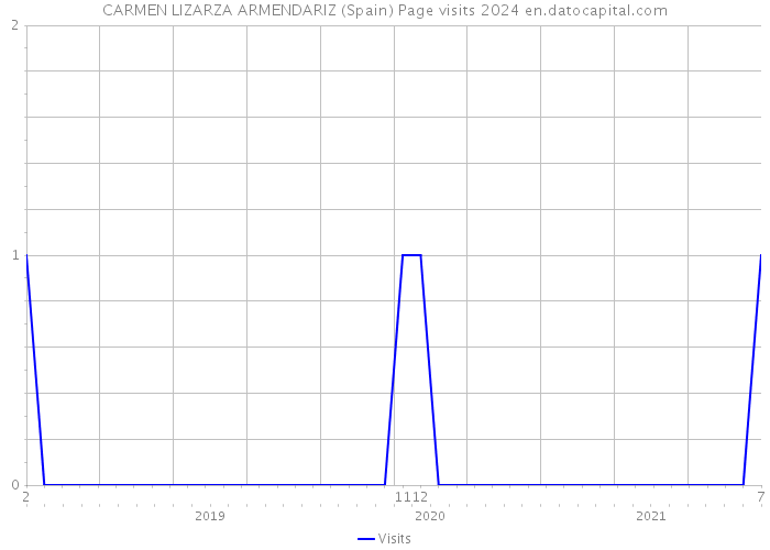 CARMEN LIZARZA ARMENDARIZ (Spain) Page visits 2024 