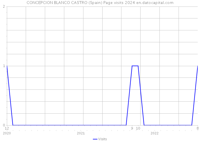 CONCEPCION BLANCO CASTRO (Spain) Page visits 2024 