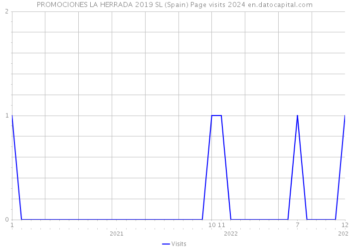 PROMOCIONES LA HERRADA 2019 SL (Spain) Page visits 2024 