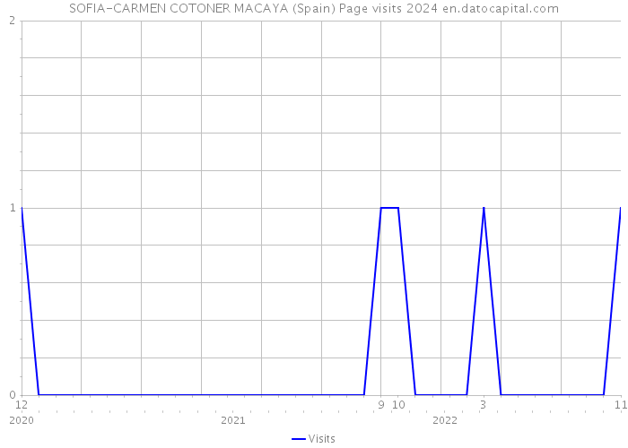 SOFIA-CARMEN COTONER MACAYA (Spain) Page visits 2024 