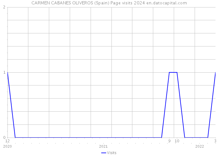 CARMEN CABANES OLIVEROS (Spain) Page visits 2024 