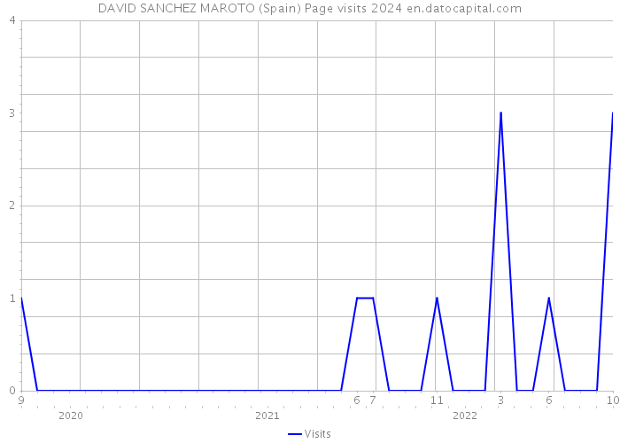 DAVID SANCHEZ MAROTO (Spain) Page visits 2024 