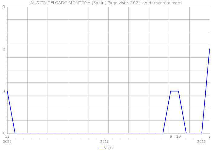 AUDITA DELGADO MONTOYA (Spain) Page visits 2024 
