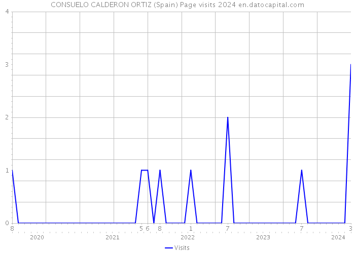 CONSUELO CALDERON ORTIZ (Spain) Page visits 2024 