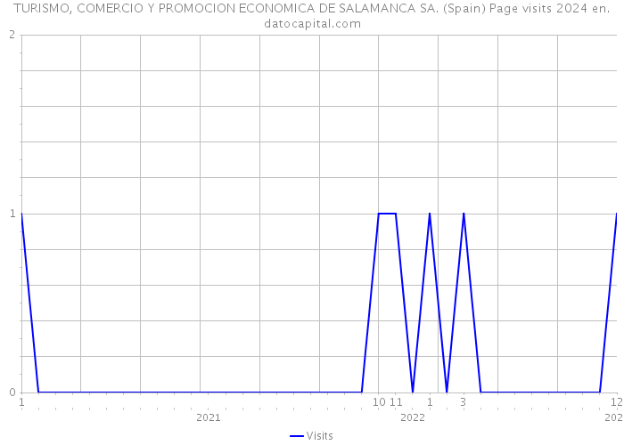 TURISMO, COMERCIO Y PROMOCION ECONOMICA DE SALAMANCA SA. (Spain) Page visits 2024 