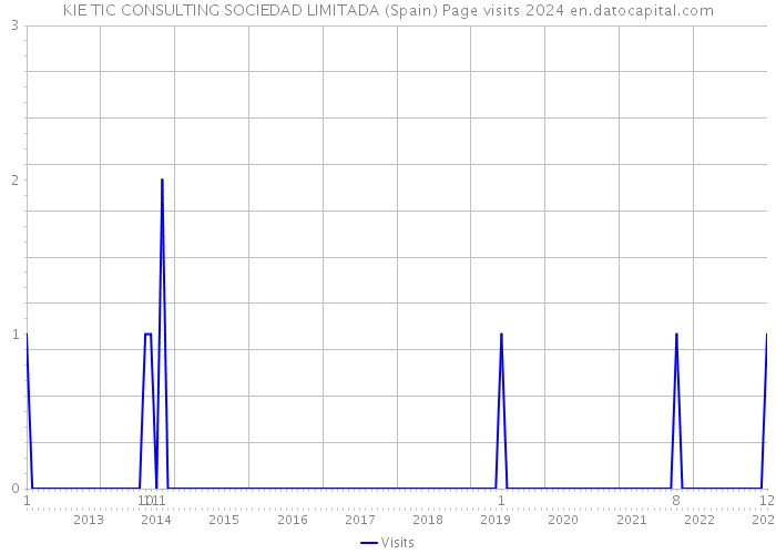 KIE TIC CONSULTING SOCIEDAD LIMITADA (Spain) Page visits 2024 