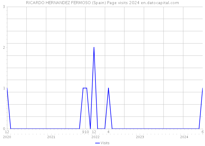 RICARDO HERNANDEZ FERMOSO (Spain) Page visits 2024 