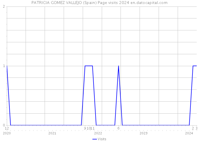 PATRICIA GOMEZ VALLEJO (Spain) Page visits 2024 