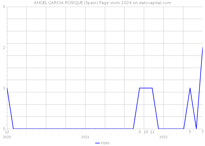 ANGEL GARCIA ROSIQUE (Spain) Page visits 2024 