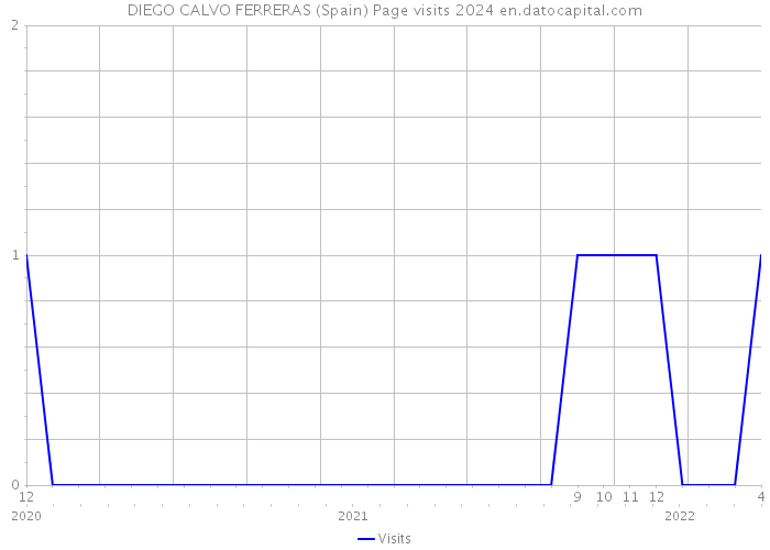 DIEGO CALVO FERRERAS (Spain) Page visits 2024 
