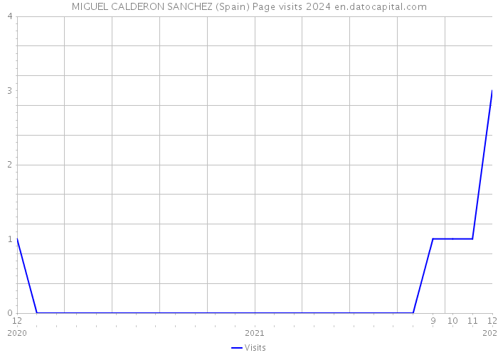 MIGUEL CALDERON SANCHEZ (Spain) Page visits 2024 