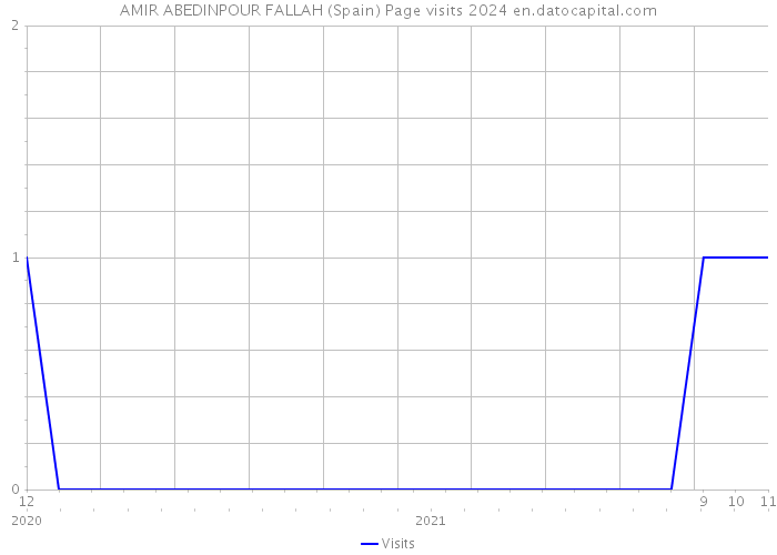 AMIR ABEDINPOUR FALLAH (Spain) Page visits 2024 