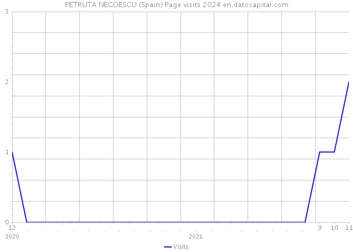 PETRUTA NEGOESCU (Spain) Page visits 2024 