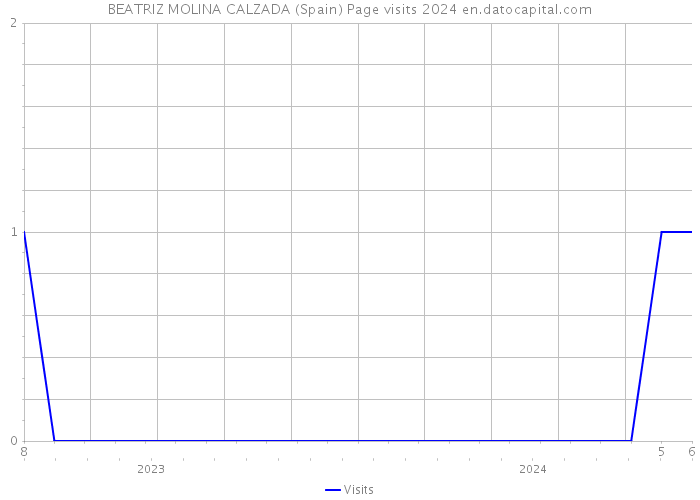BEATRIZ MOLINA CALZADA (Spain) Page visits 2024 