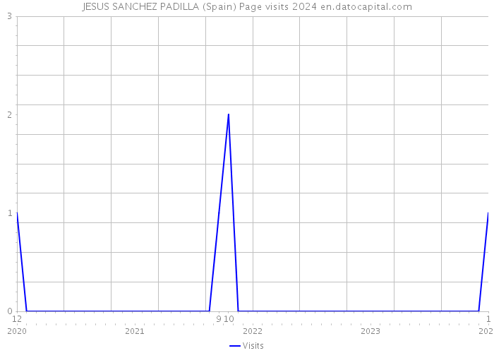 JESUS SANCHEZ PADILLA (Spain) Page visits 2024 