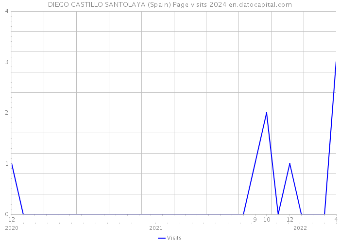 DIEGO CASTILLO SANTOLAYA (Spain) Page visits 2024 