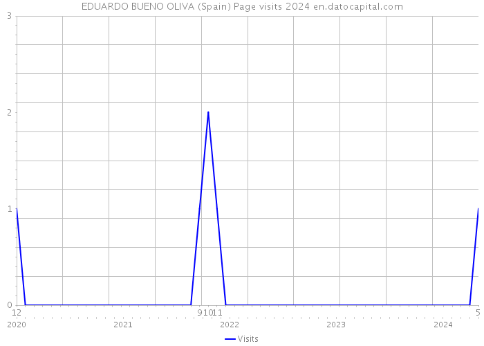 EDUARDO BUENO OLIVA (Spain) Page visits 2024 