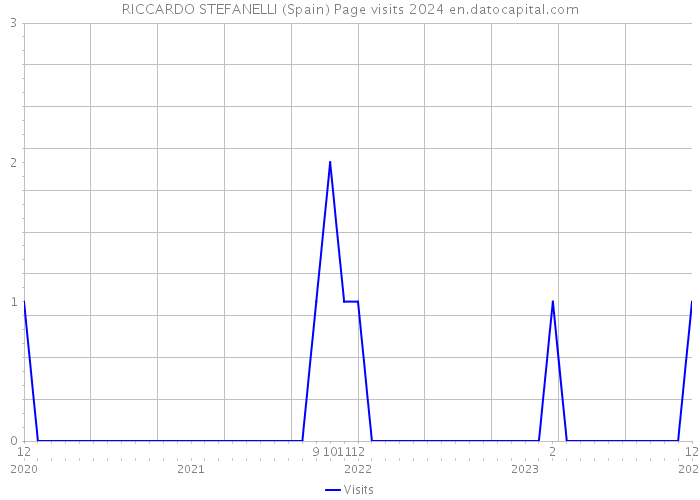 RICCARDO STEFANELLI (Spain) Page visits 2024 