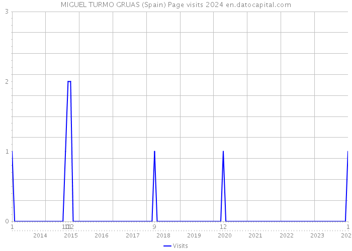 MIGUEL TURMO GRUAS (Spain) Page visits 2024 
