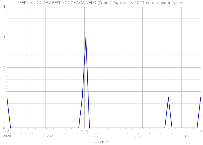 FERNANDO DE ARESPACOCHAGA VELO (Spain) Page visits 2024 