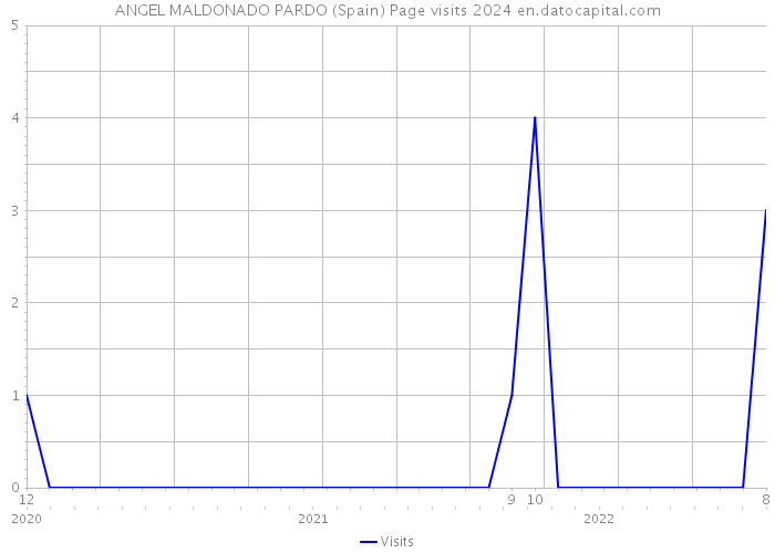 ANGEL MALDONADO PARDO (Spain) Page visits 2024 