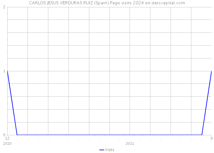 CARLOS JESUS VERDURAS RUIZ (Spain) Page visits 2024 