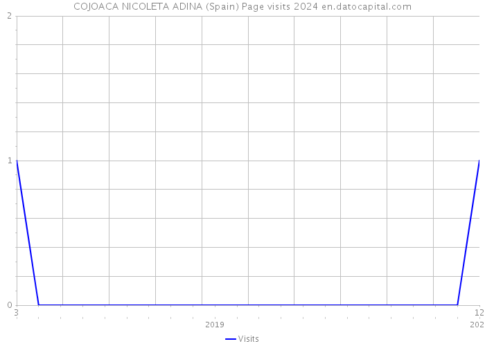 COJOACA NICOLETA ADINA (Spain) Page visits 2024 