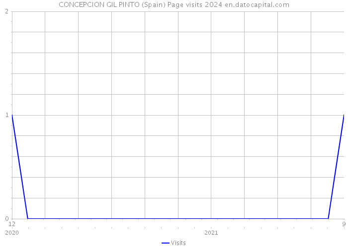 CONCEPCION GIL PINTO (Spain) Page visits 2024 