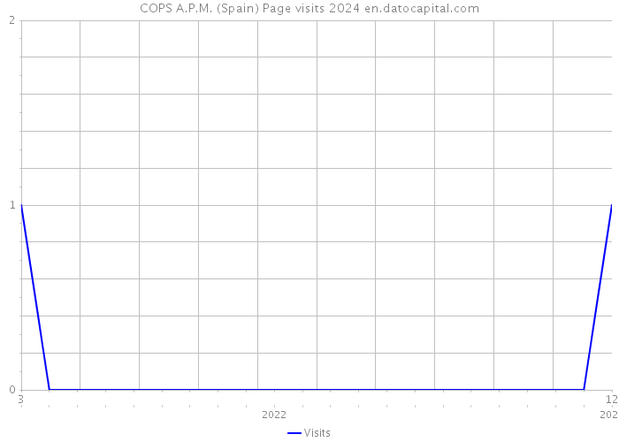 COPS A.P.M. (Spain) Page visits 2024 