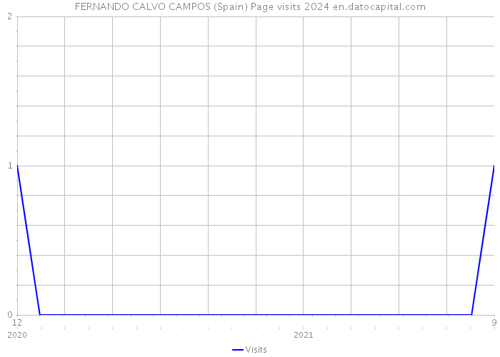 FERNANDO CALVO CAMPOS (Spain) Page visits 2024 