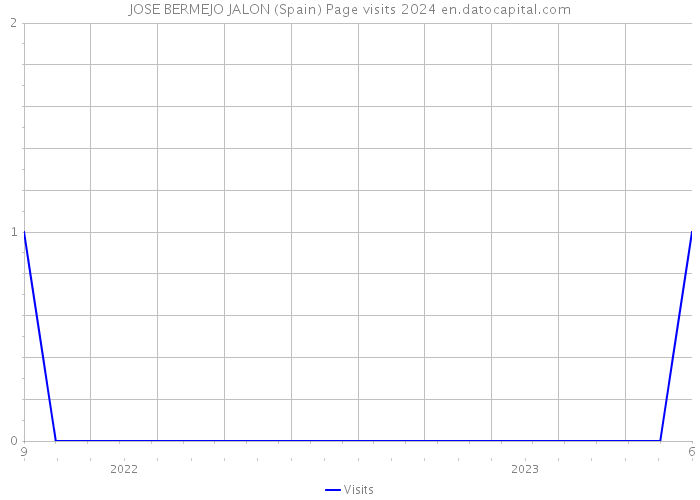 JOSE BERMEJO JALON (Spain) Page visits 2024 