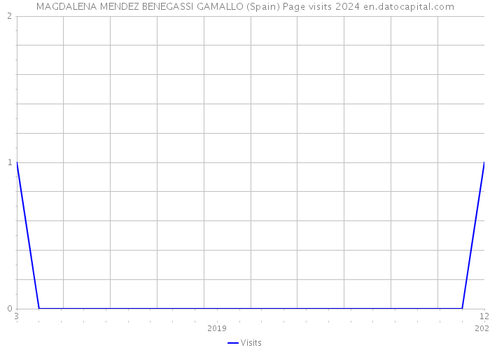 MAGDALENA MENDEZ BENEGASSI GAMALLO (Spain) Page visits 2024 