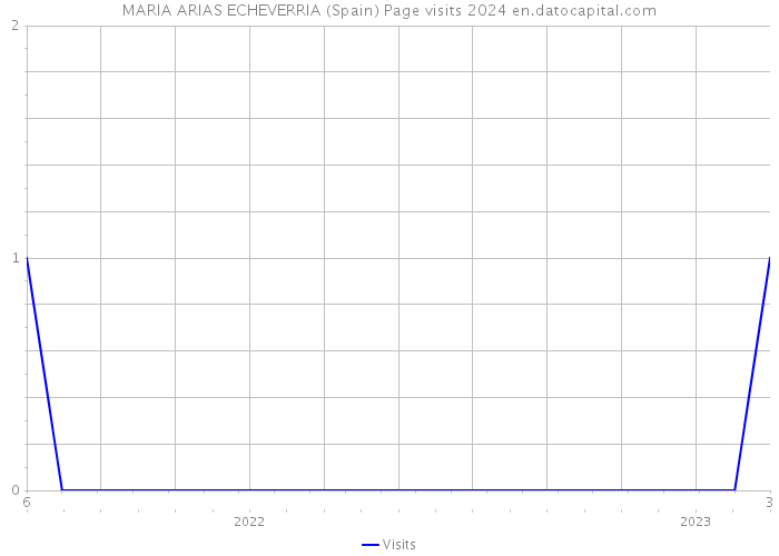 MARIA ARIAS ECHEVERRIA (Spain) Page visits 2024 
