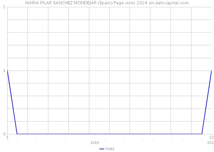 MARIA PILAR SANCHEZ MONDEJAR (Spain) Page visits 2024 