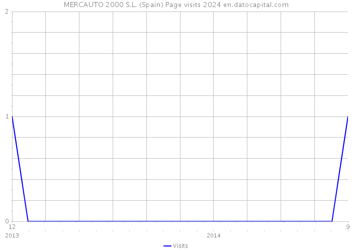MERCAUTO 2000 S.L. (Spain) Page visits 2024 