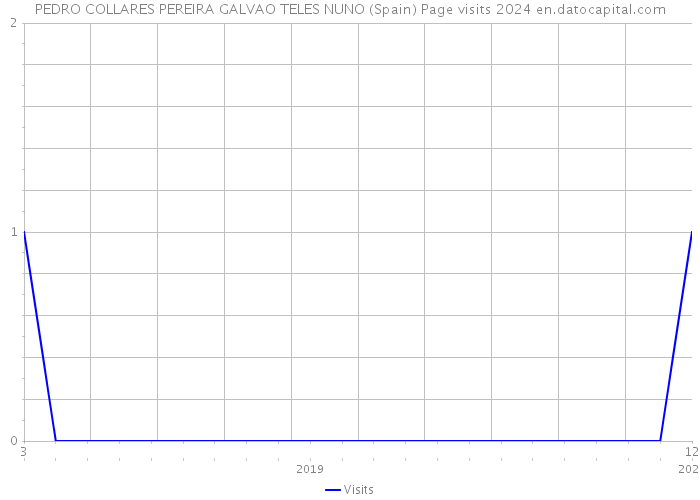 PEDRO COLLARES PEREIRA GALVAO TELES NUNO (Spain) Page visits 2024 